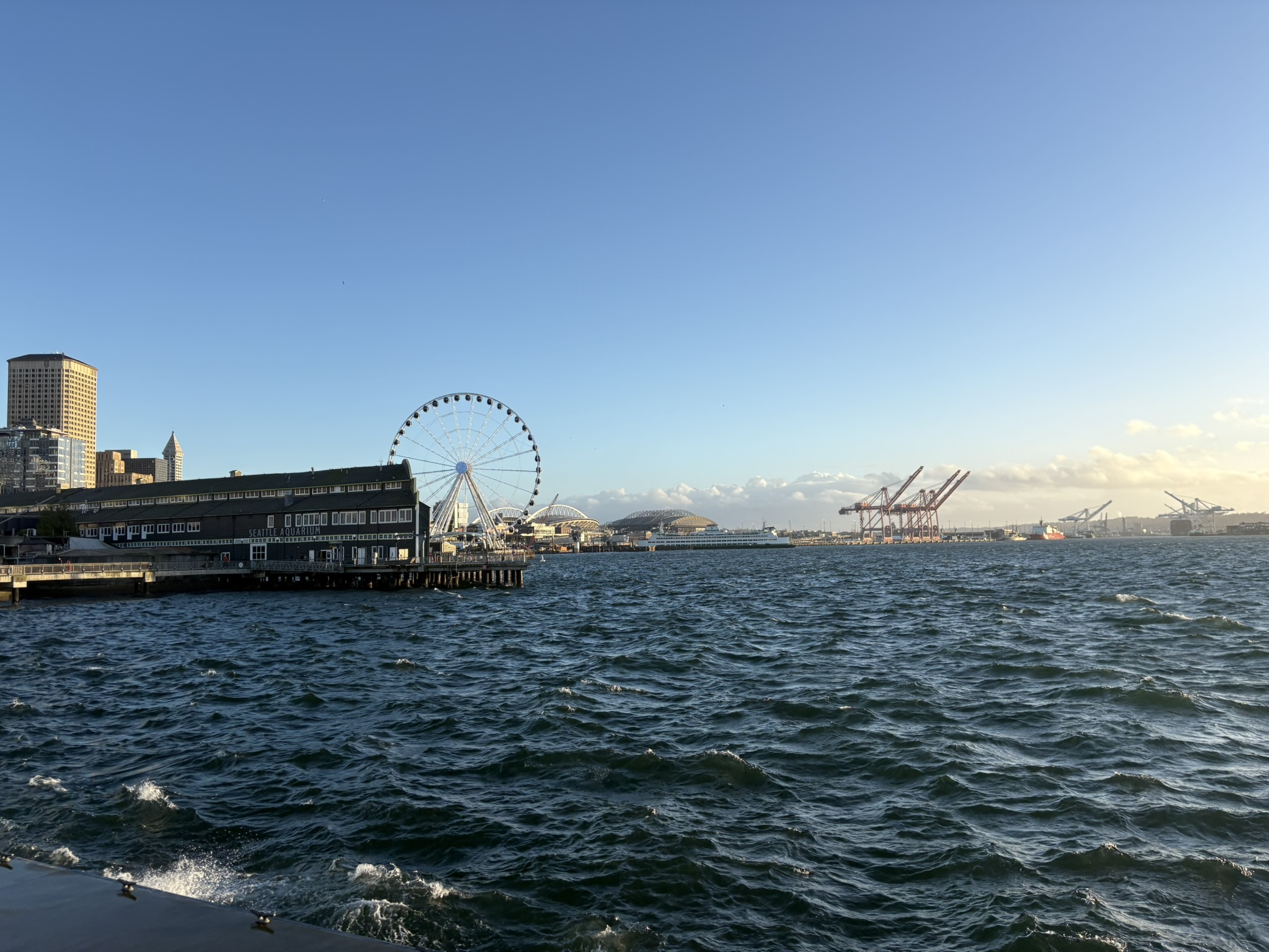 Puget Sound的海浪