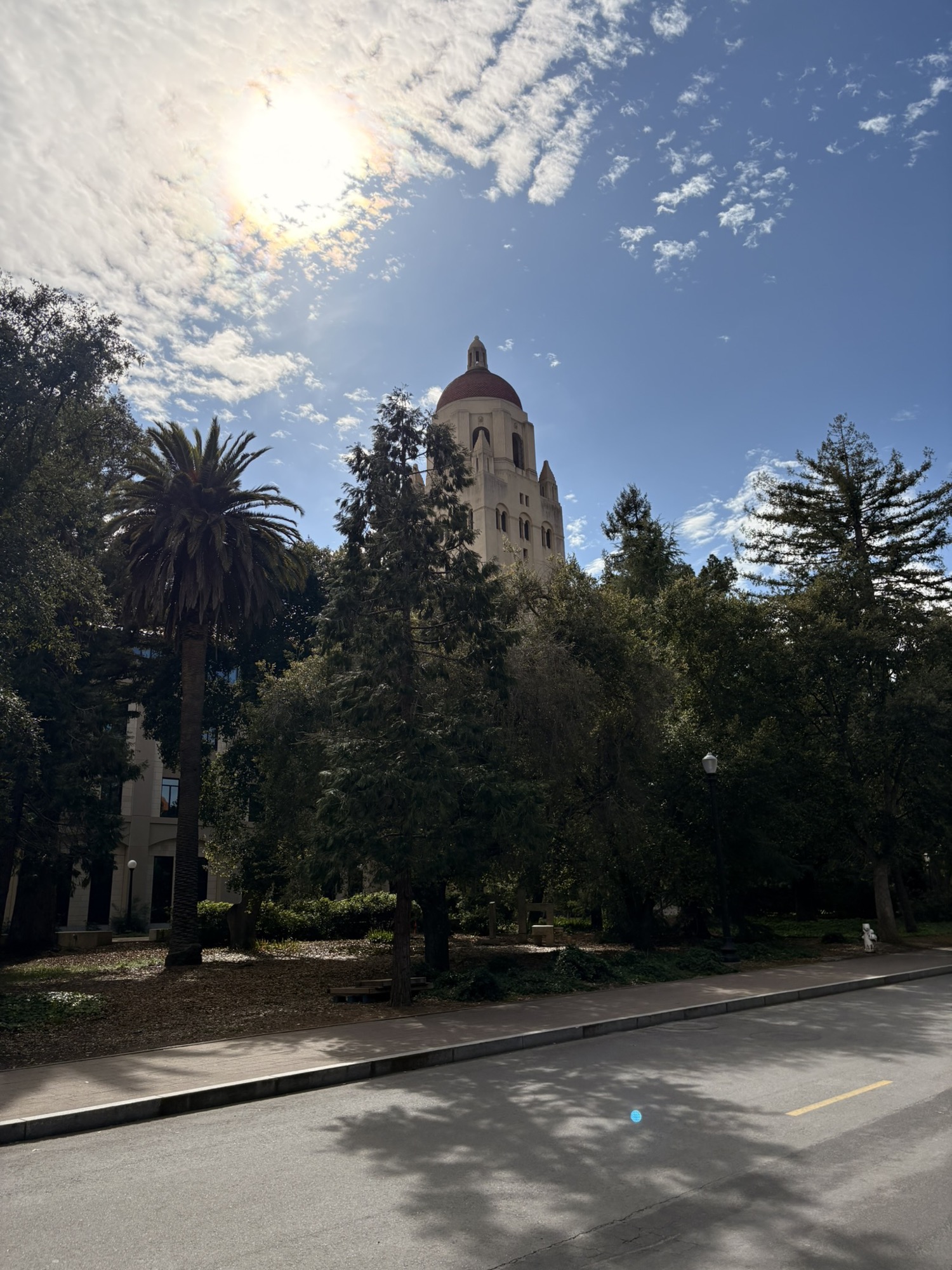 阳光下的Hoover Tower