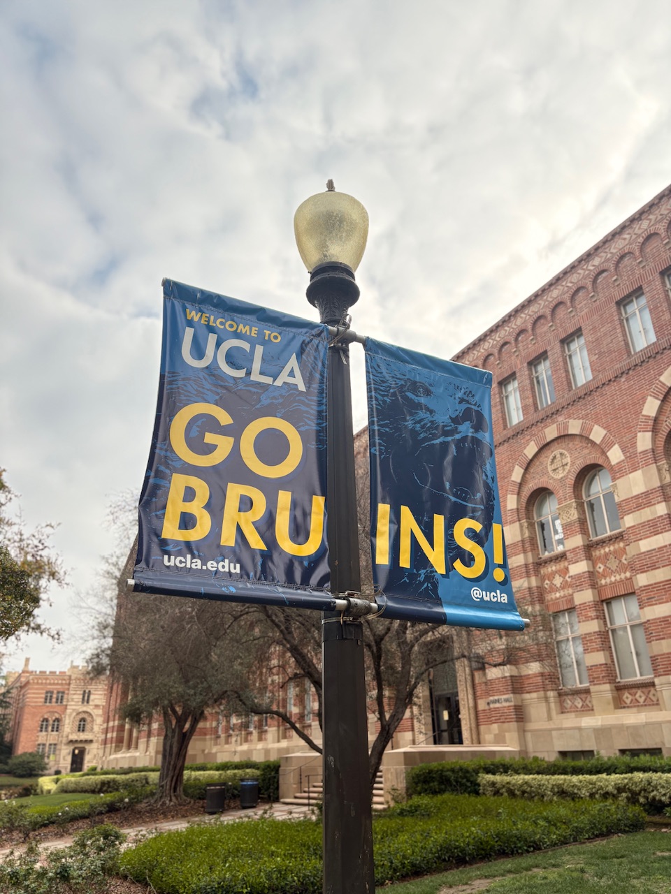 Go Bruins!
