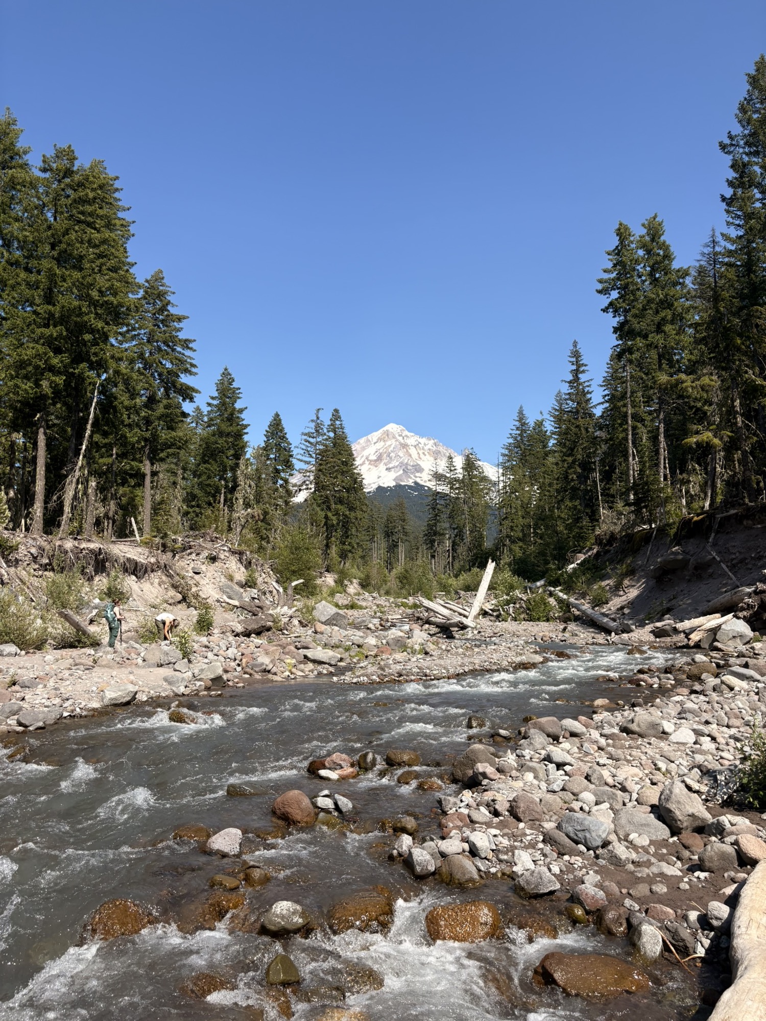 山脚看Mount Hood